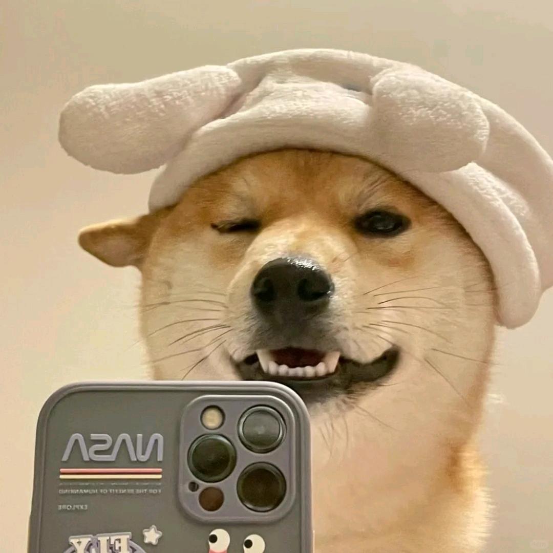 老六