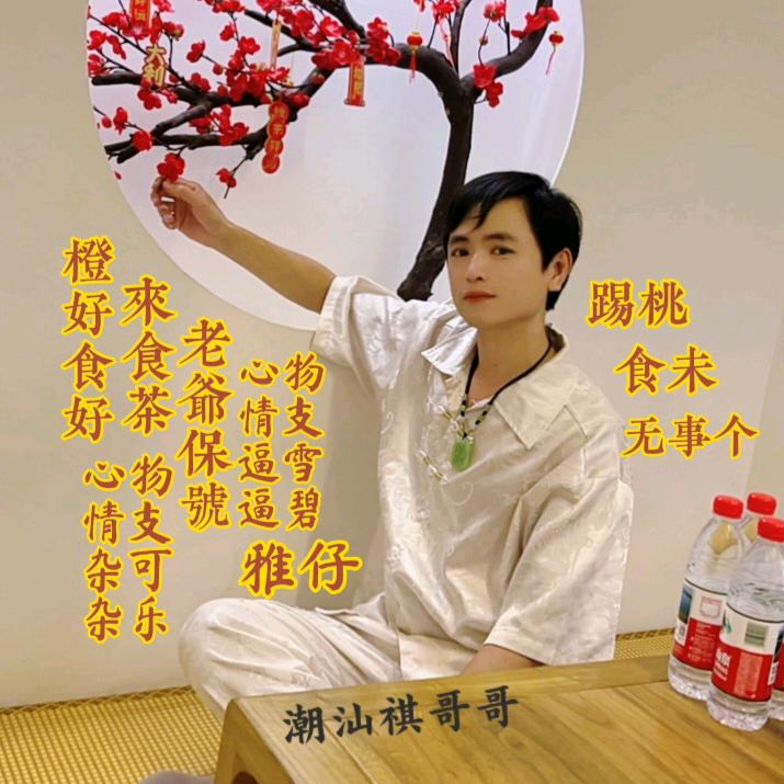 潮汕祺哥哥（林冯嘉祺）