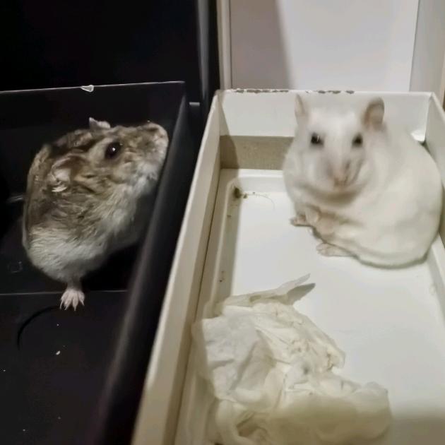 ✎﹏ℳ2๓25★ༀད倔犟こ男淫う