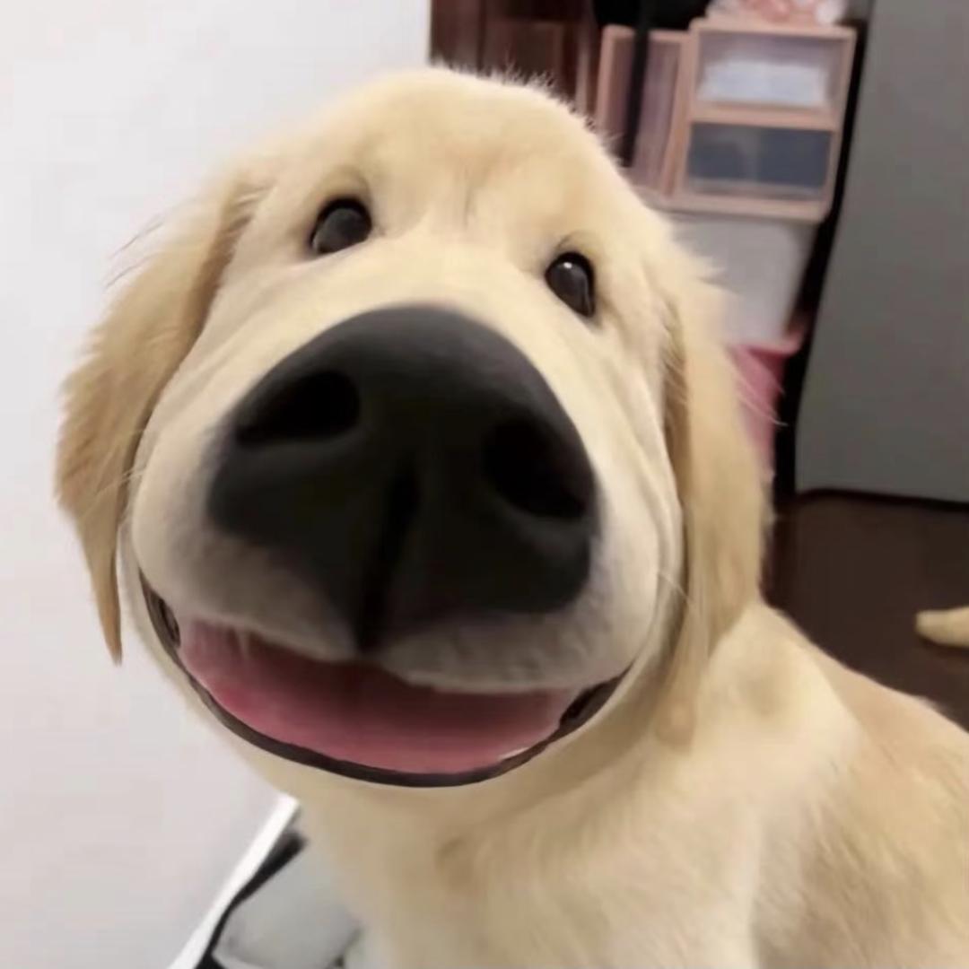 奶茶给我喝一口