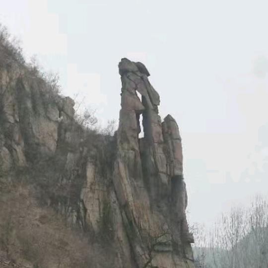 阳光明媚