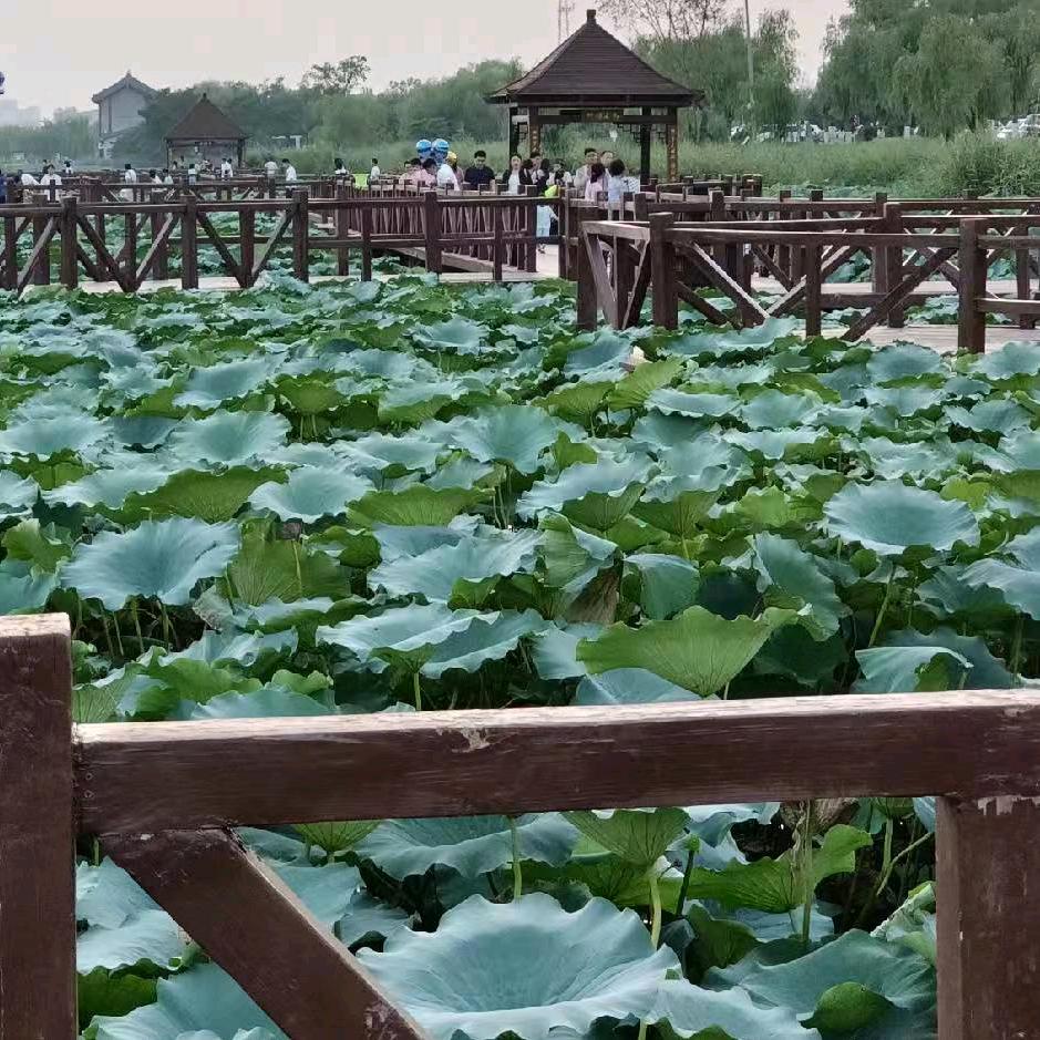 寇明0C399