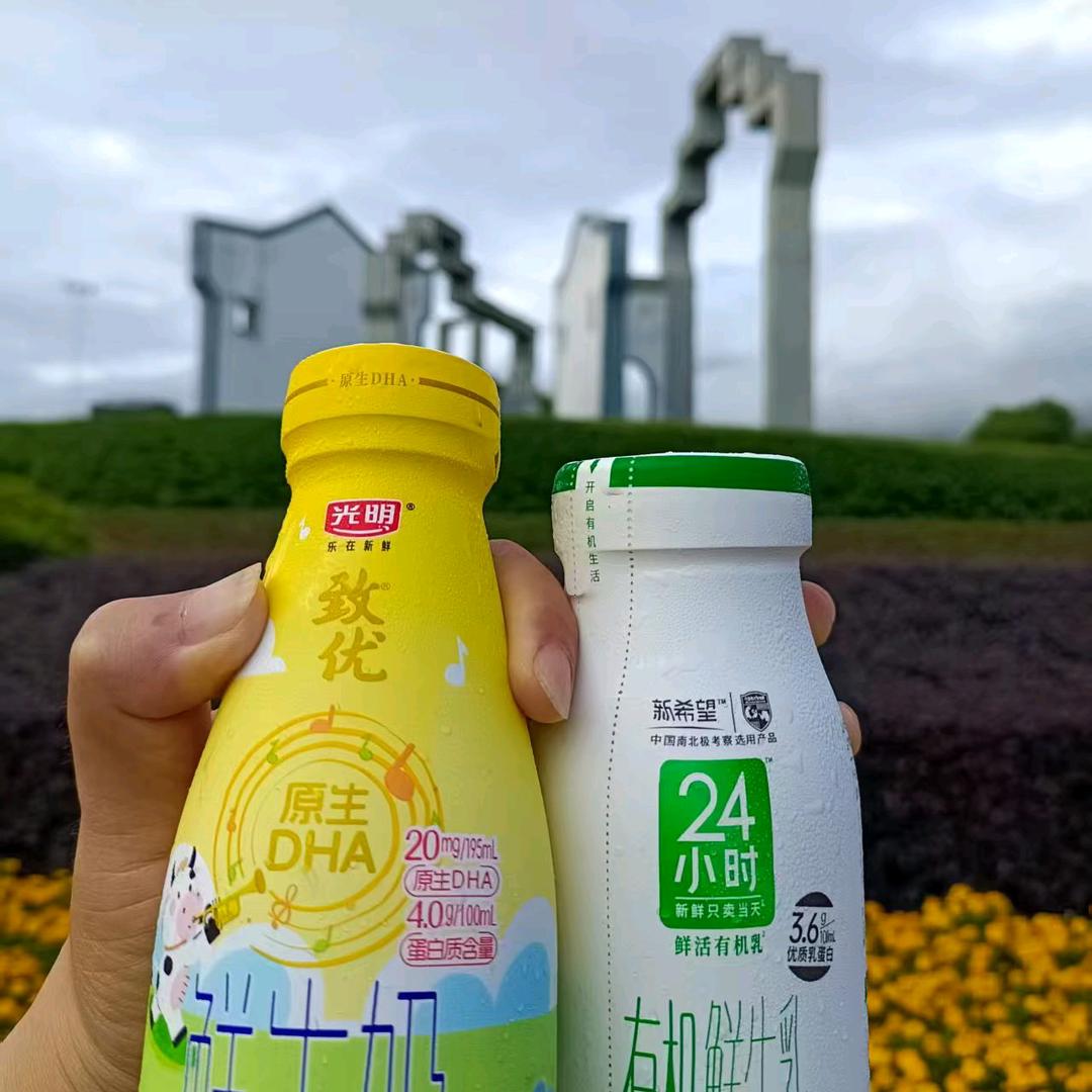 黟县每日鲜奶坊
