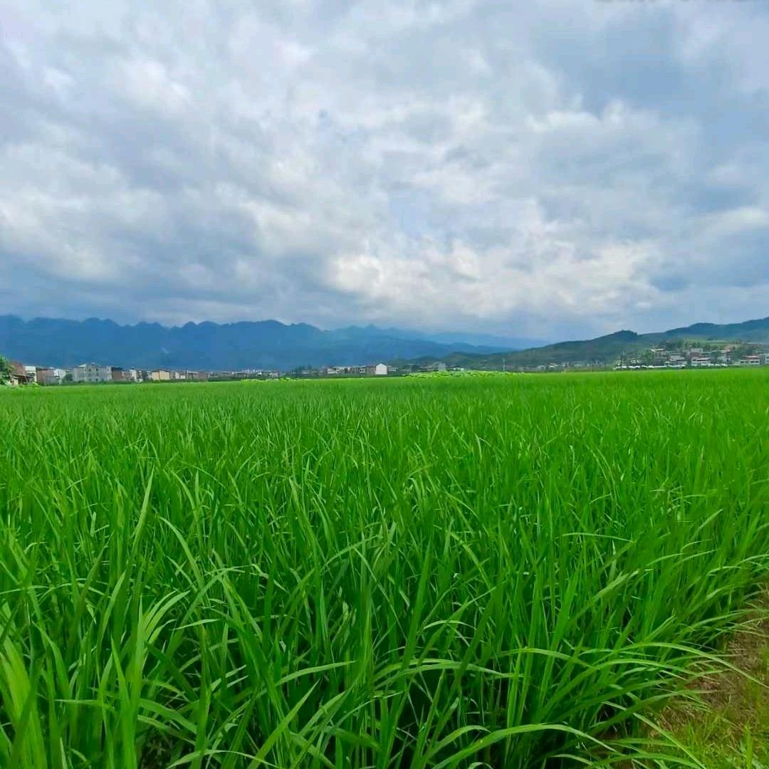 渝可妤电子商务