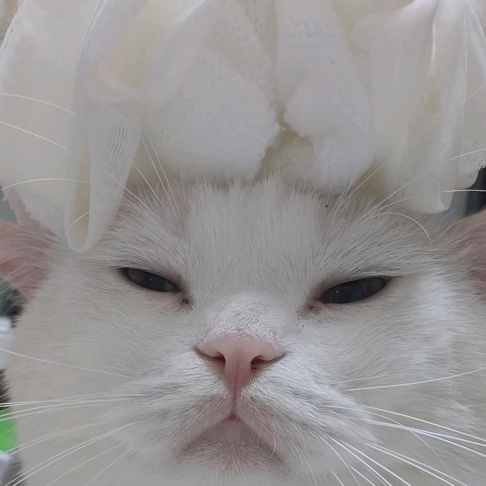 柚u呦