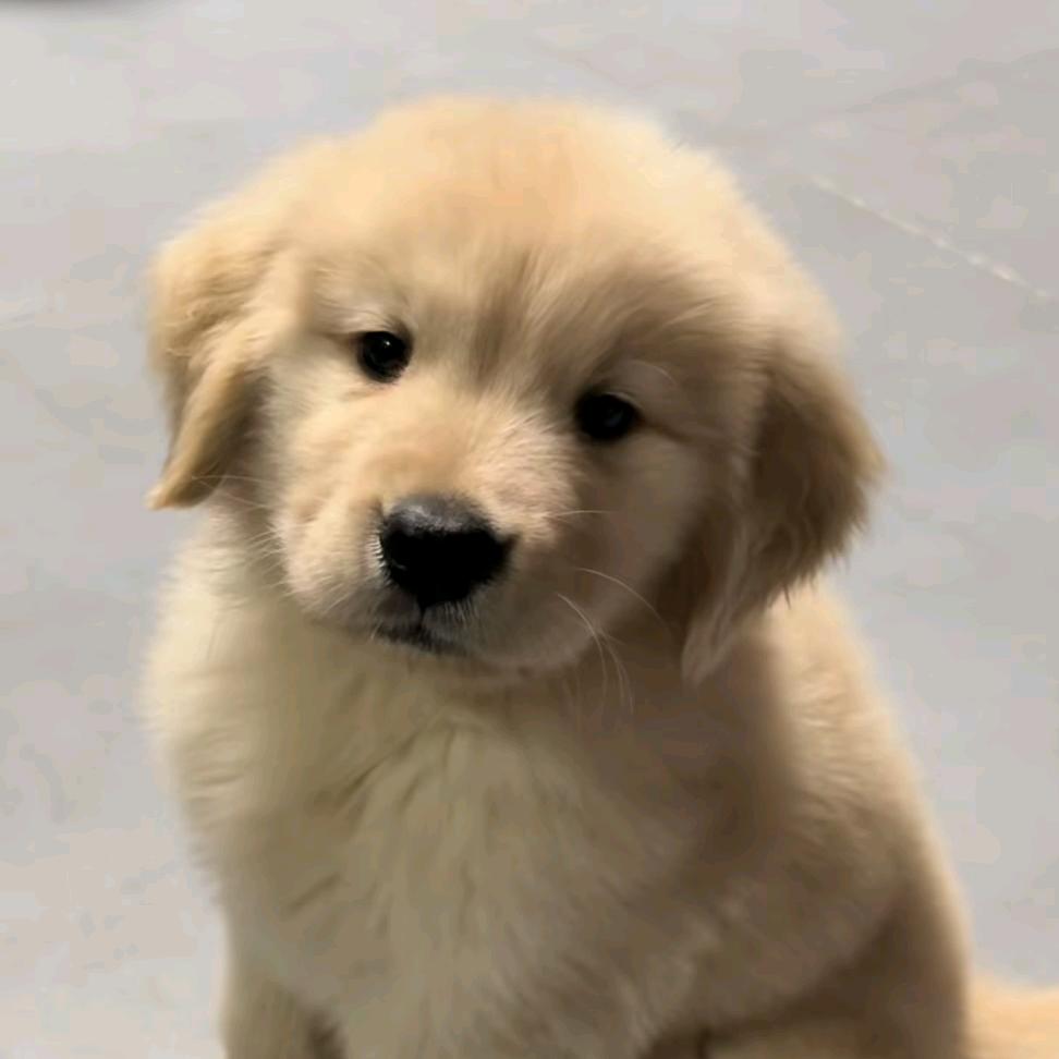 我是k（提升进化版）