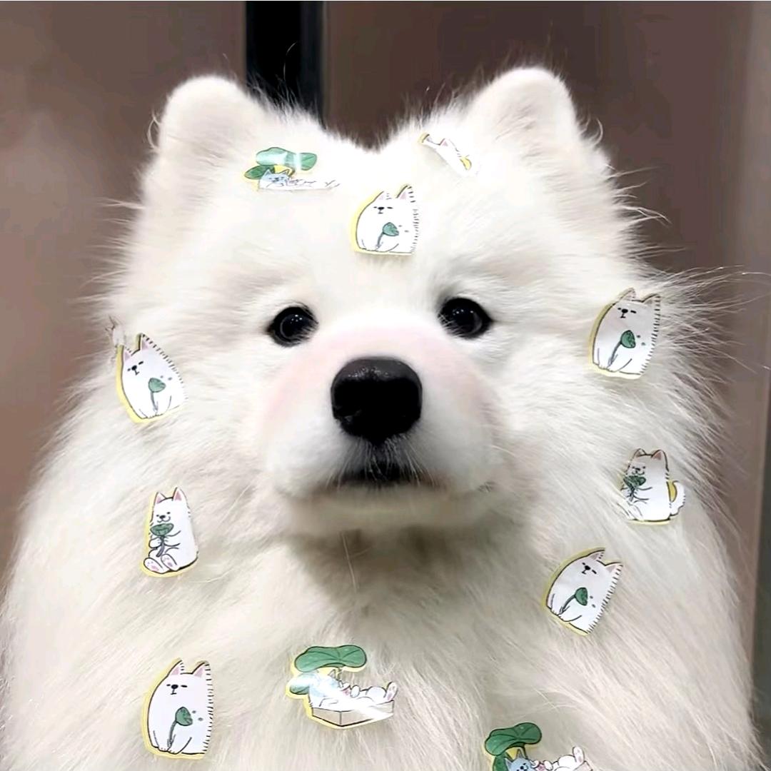 七辰