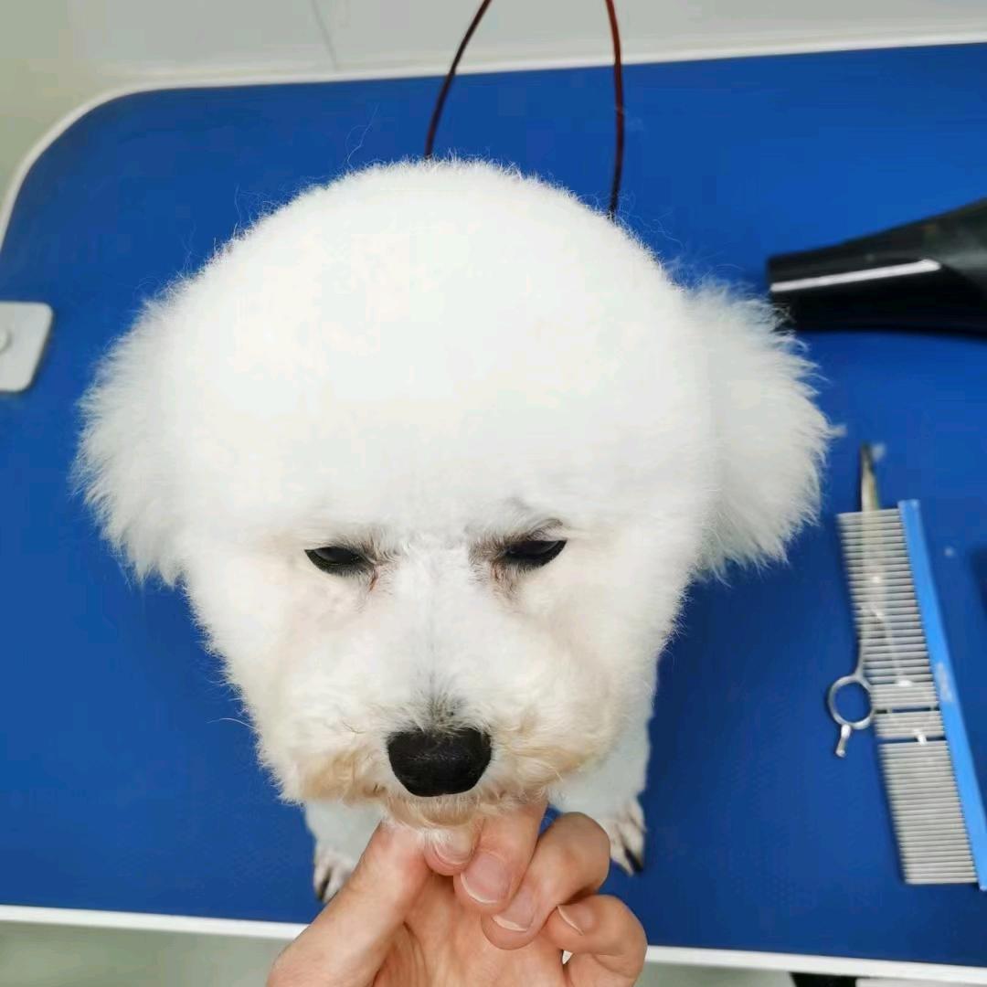 魔兽小虾米
