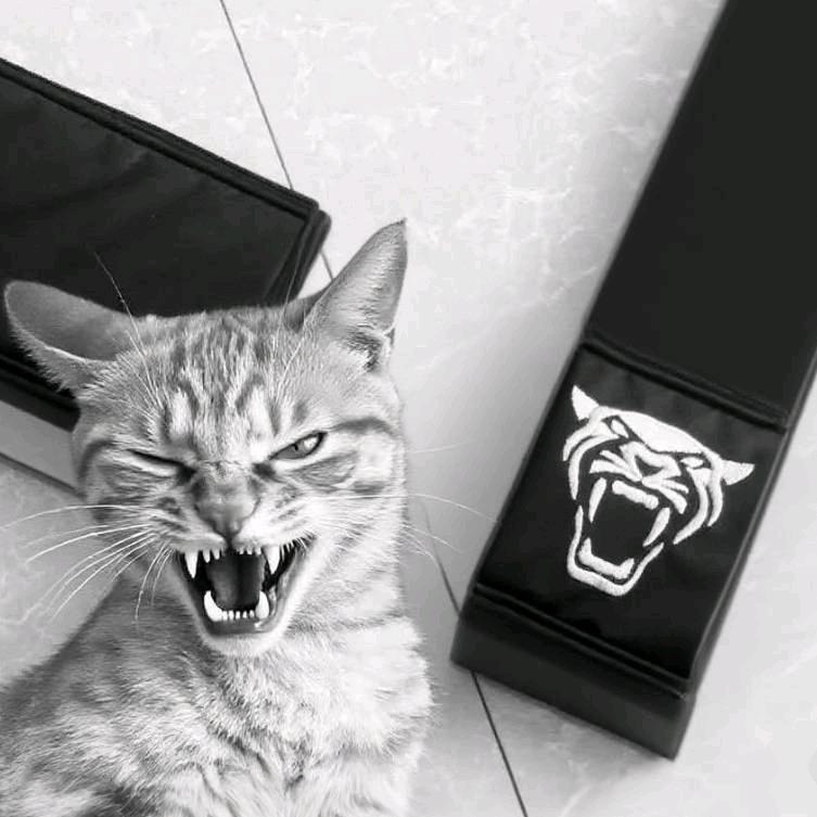 𝟴𝟲岁深情老头.⚜️