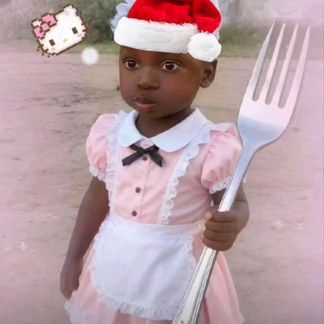 度春天《今日宜看枭起青壤~