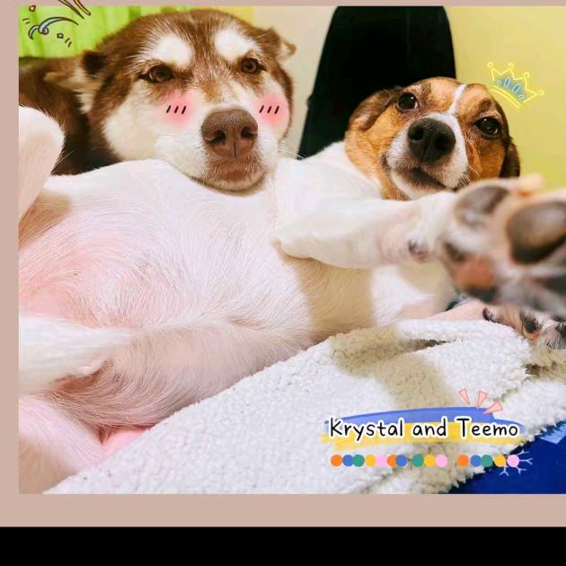 か轮胎螺丝松了