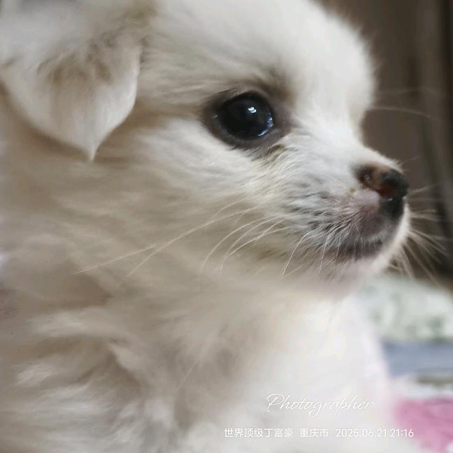 小羽毛.🎐