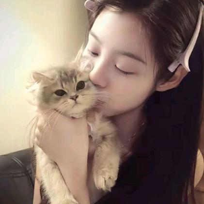 爱犯困的陈猩猩