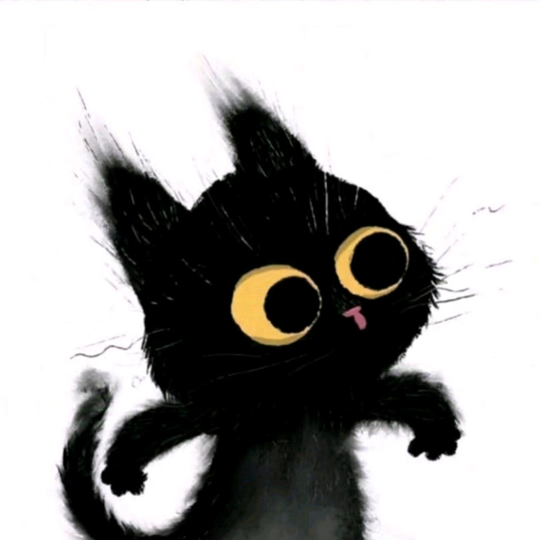 黑猫学剪辑@抖音