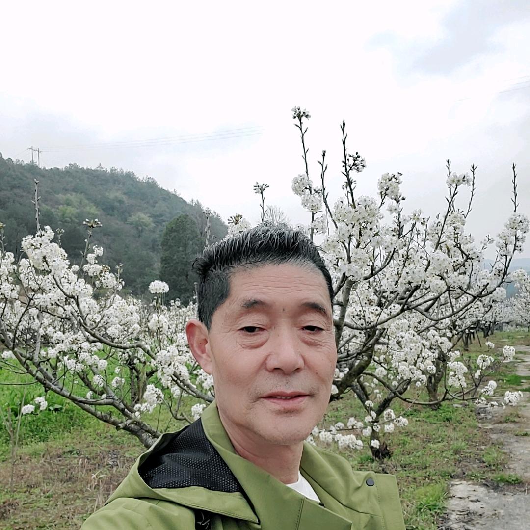心想事成，风水，先生