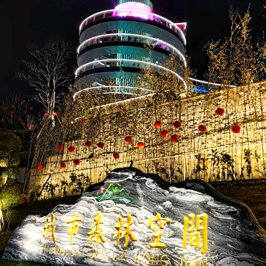 永夜君王
