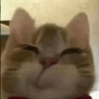 MITTY