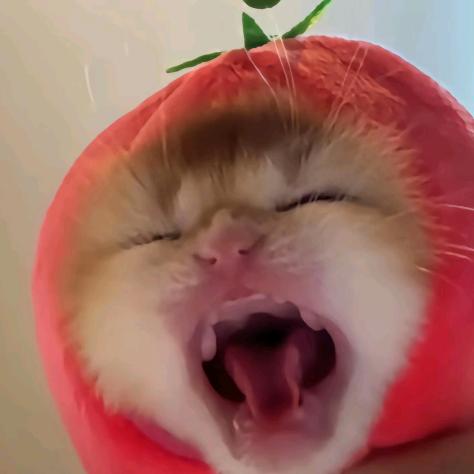 无绪