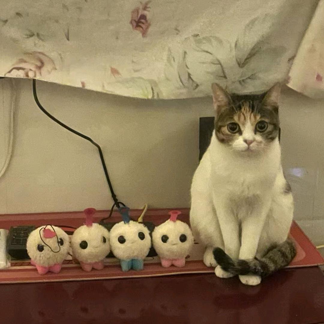 蟑蟑蟑蟑！螂螂螂螂！