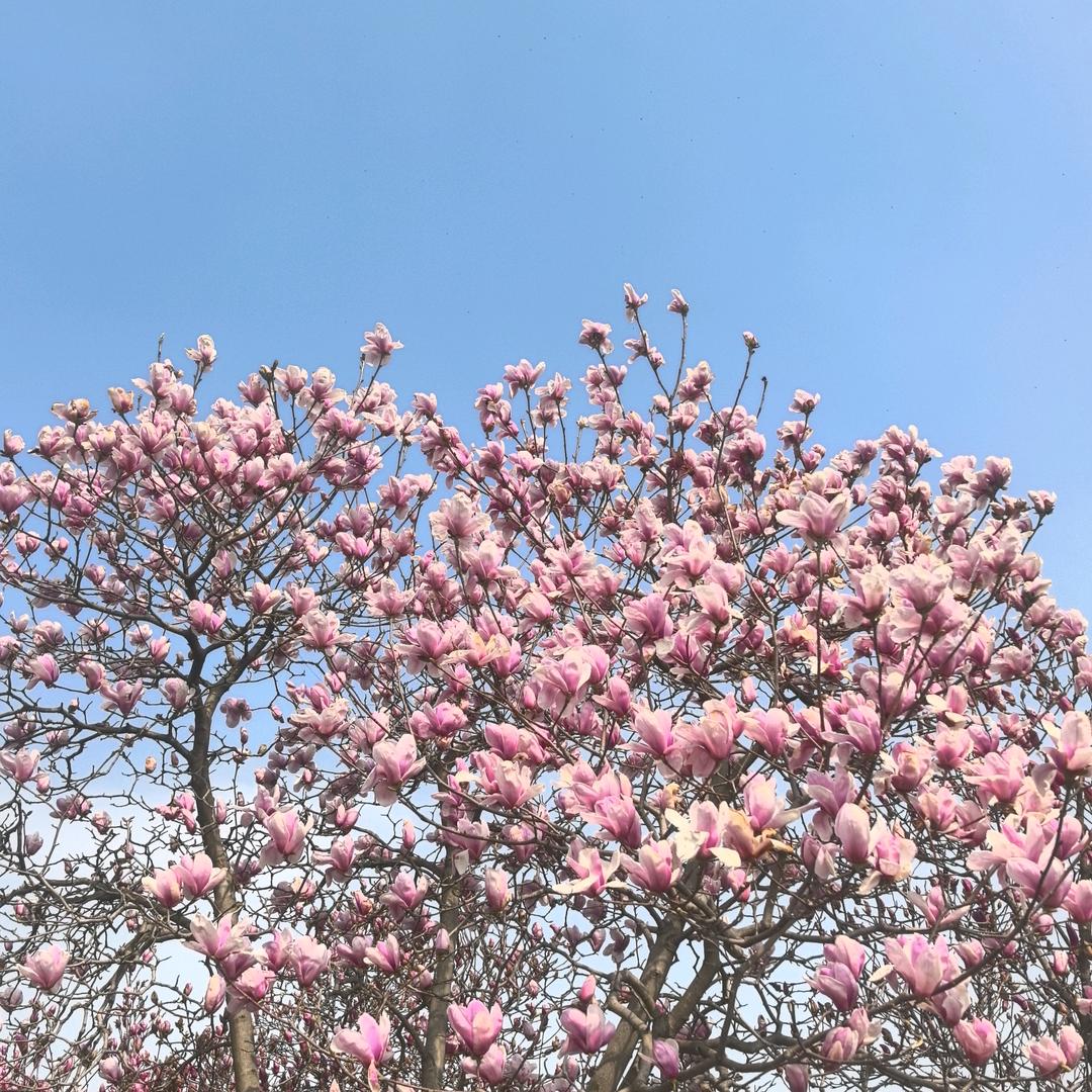 🧃️🧃️雨洛🧃️🧃️