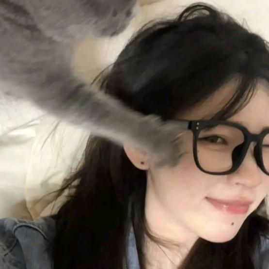 田饱肚子🎈
