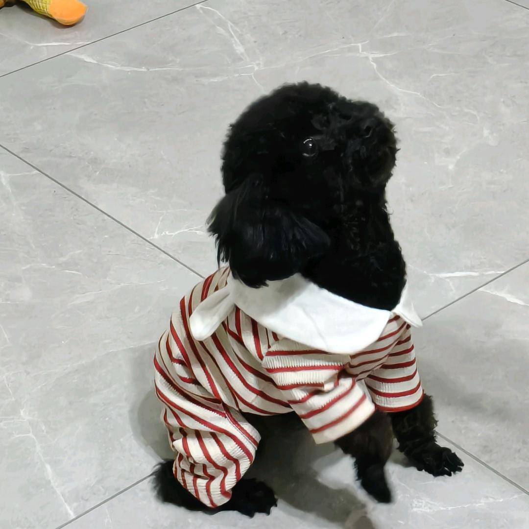 阿诺