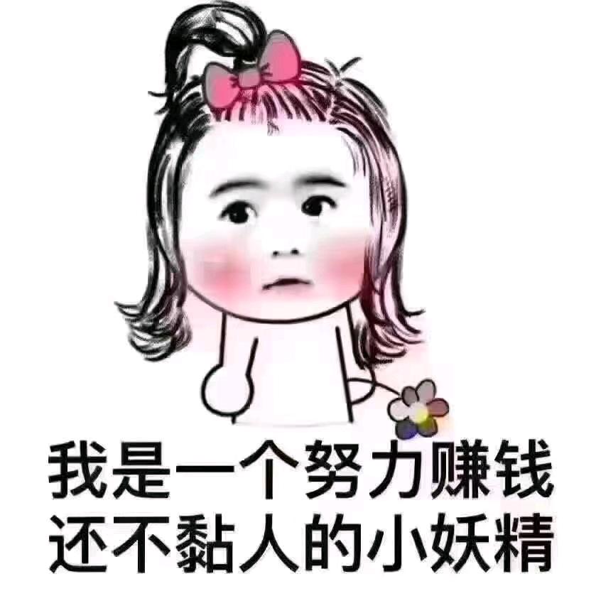 单身公主的迷茫生活
