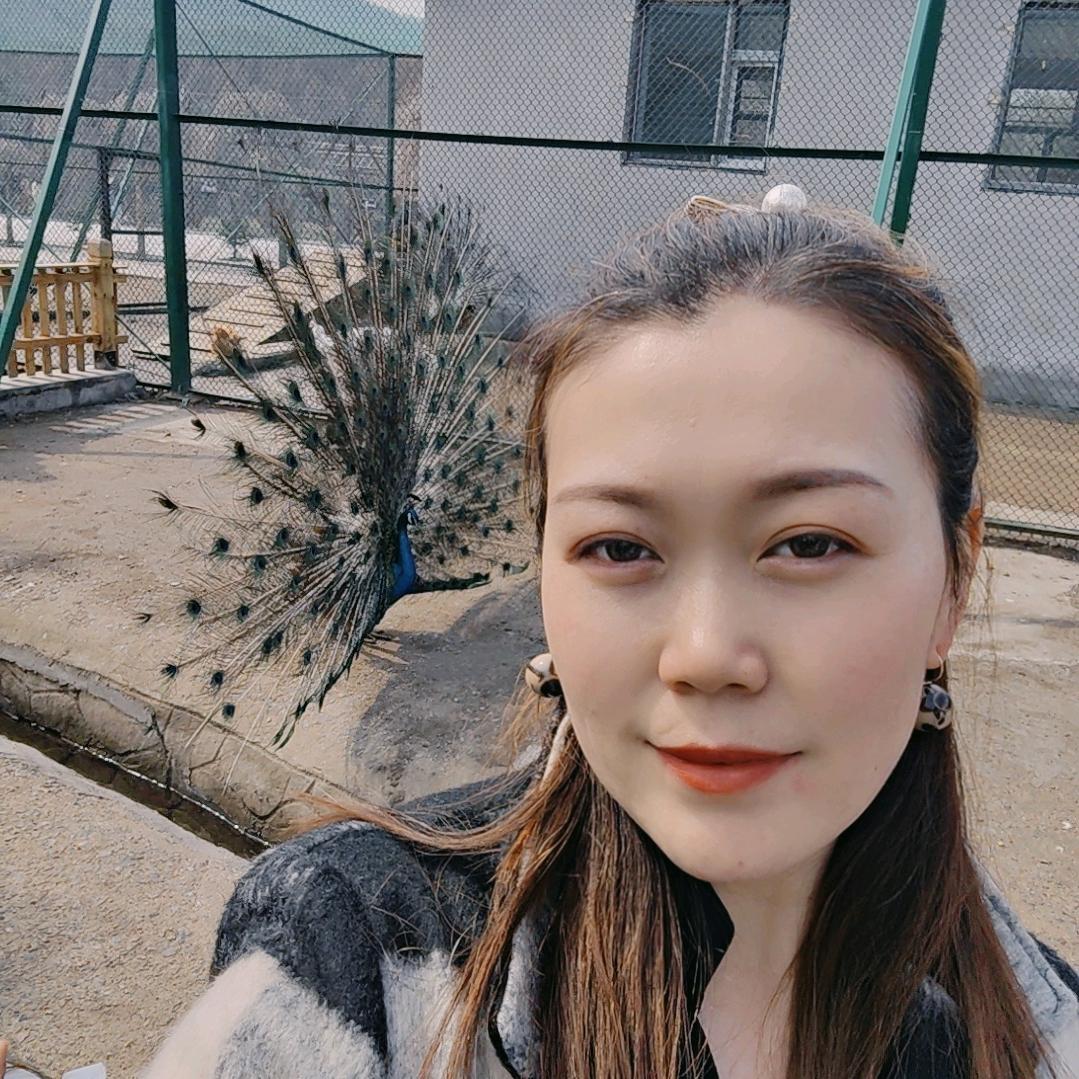 丽人stule