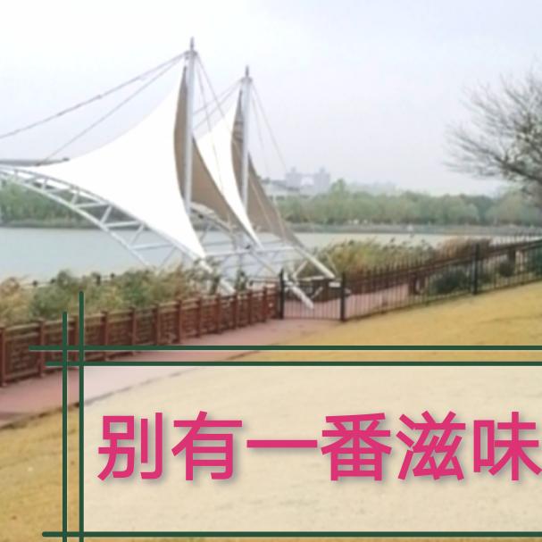 道法自然