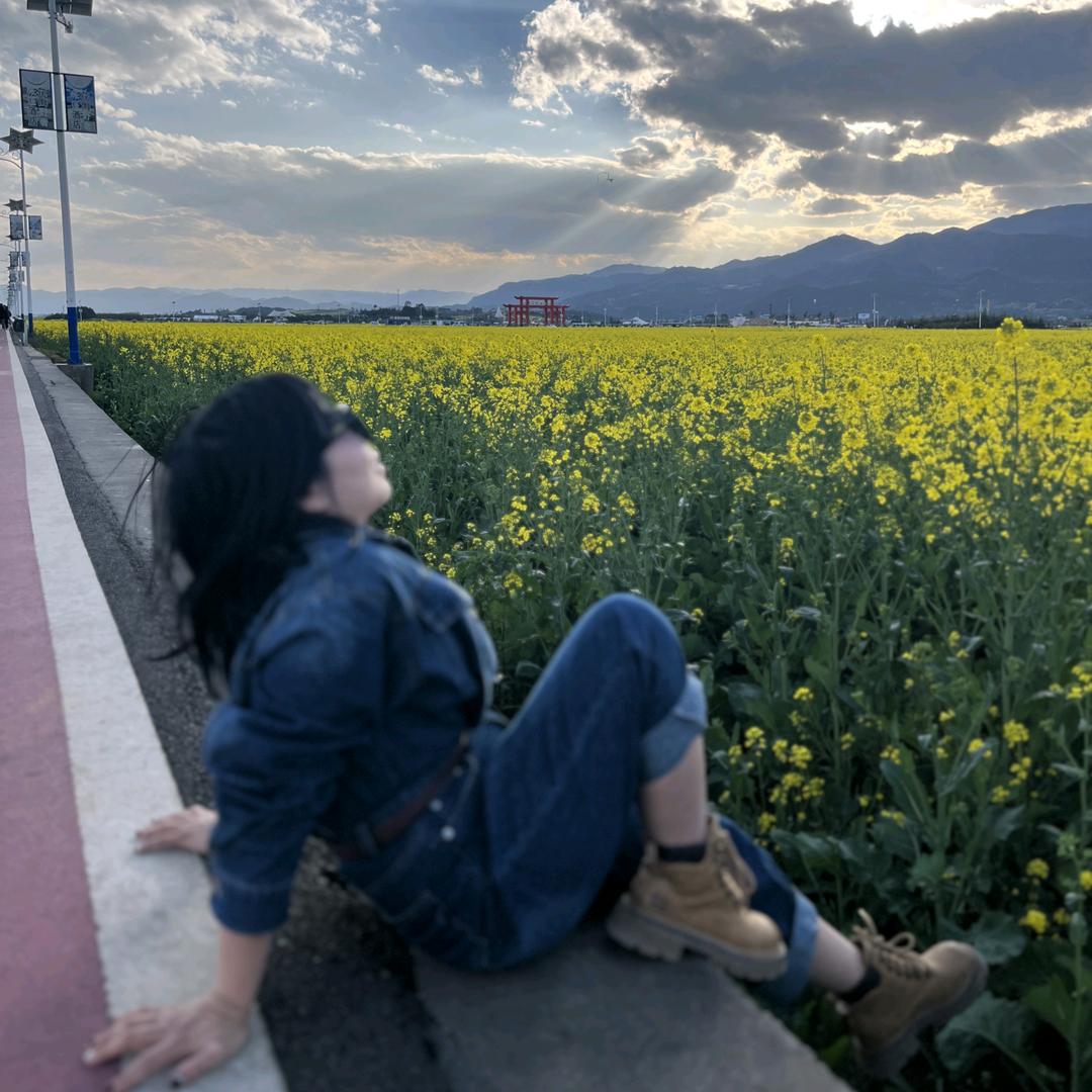 陈宝@