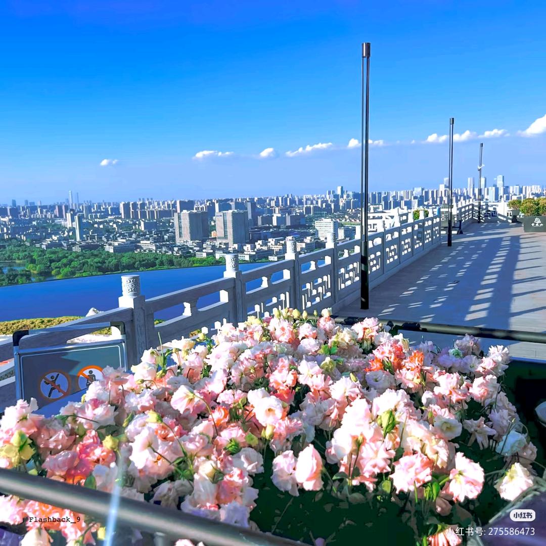 花草茶