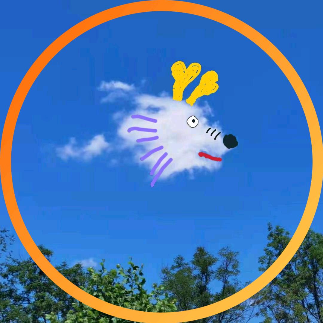 崔老师(辅导/志愿/升学规划)