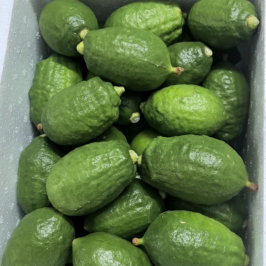 广东香水柠檬（啊林）