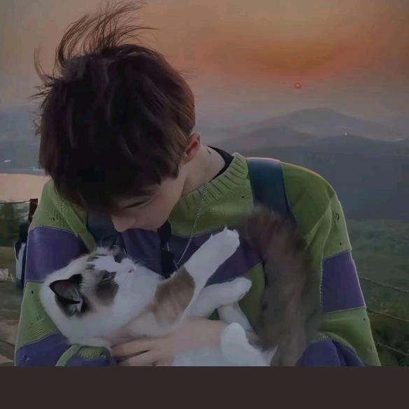 喜洋洋@