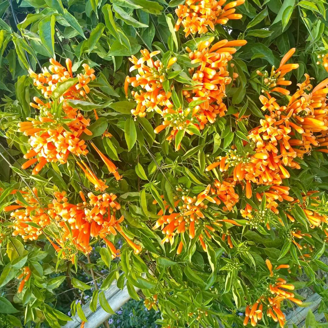 余生生要珍惜自己