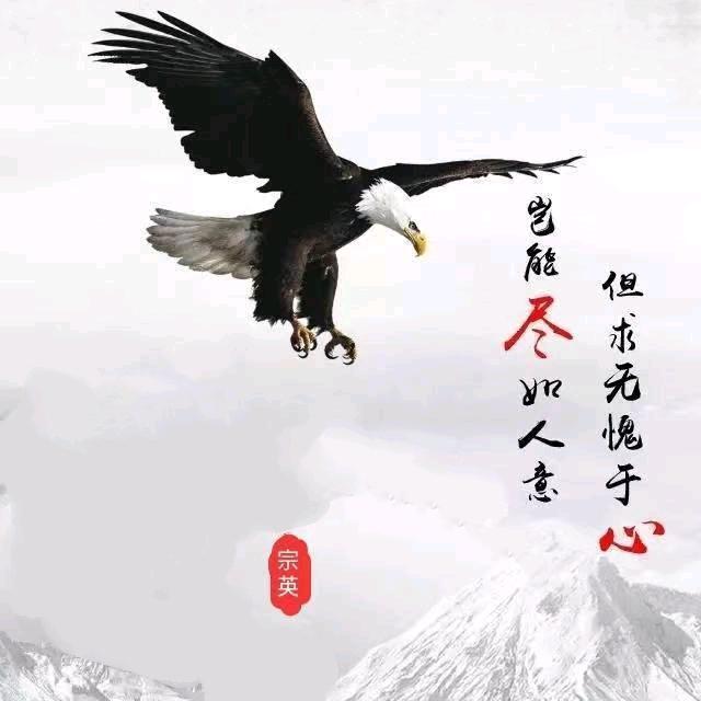 小馬哥
