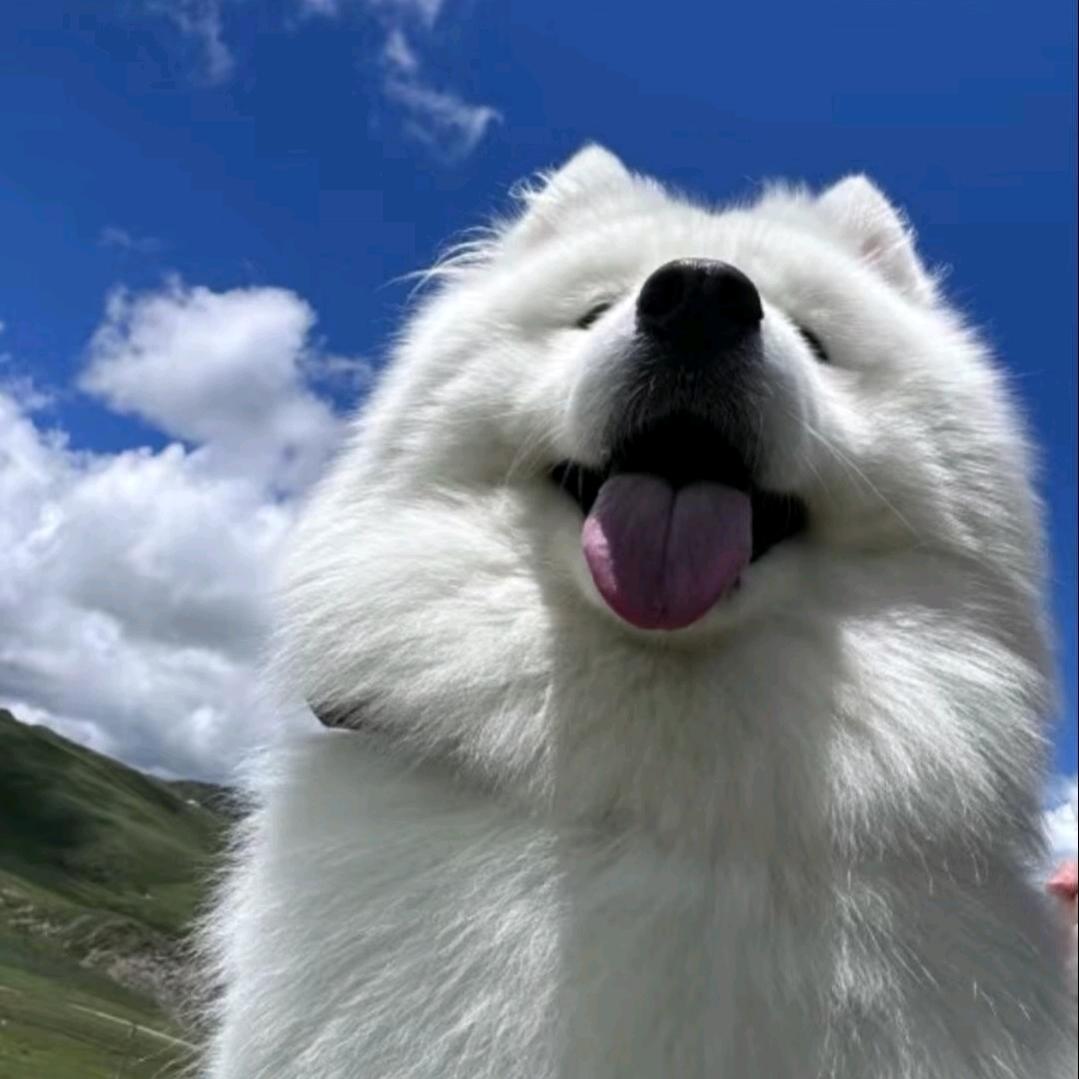 悲伤的根号二