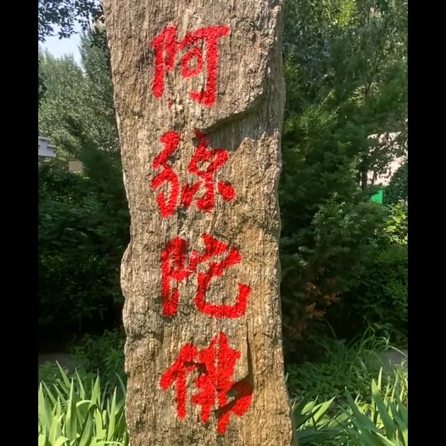 观自在(老顽童)