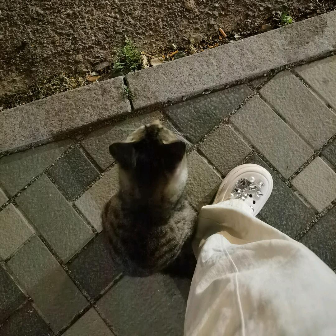甜甜的，天天