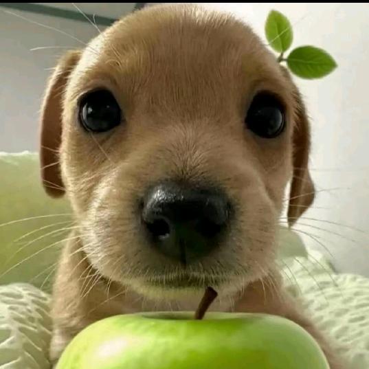 能不能让我发财