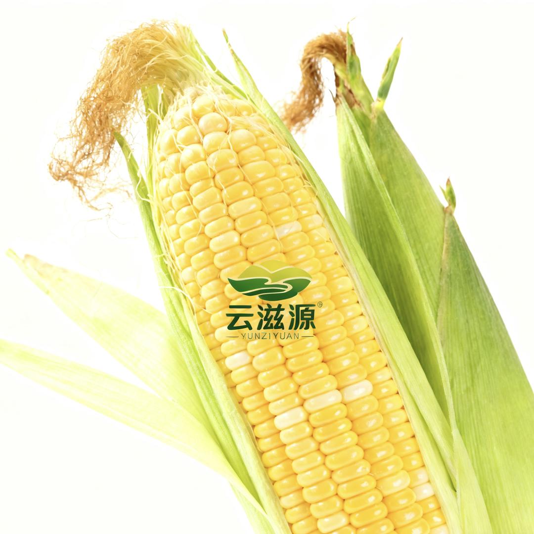 芒市云滋源农货精选