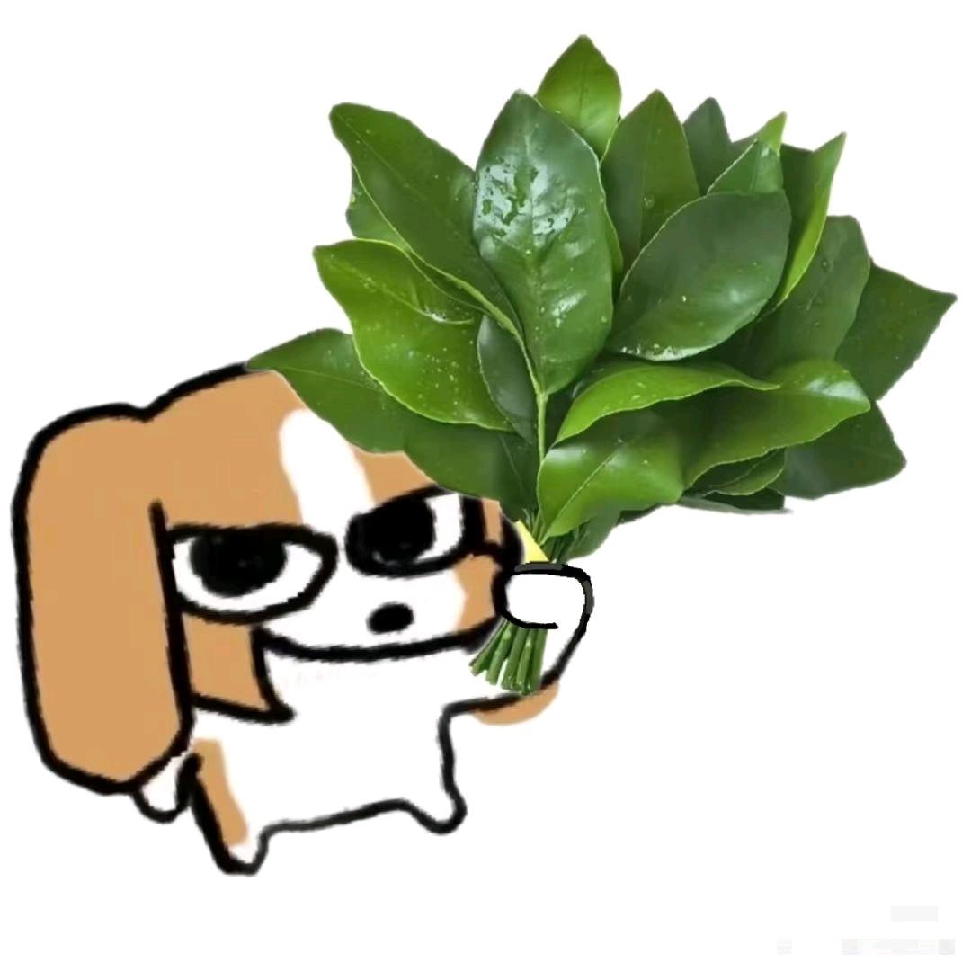一觉睡醒卡里多出十个亿