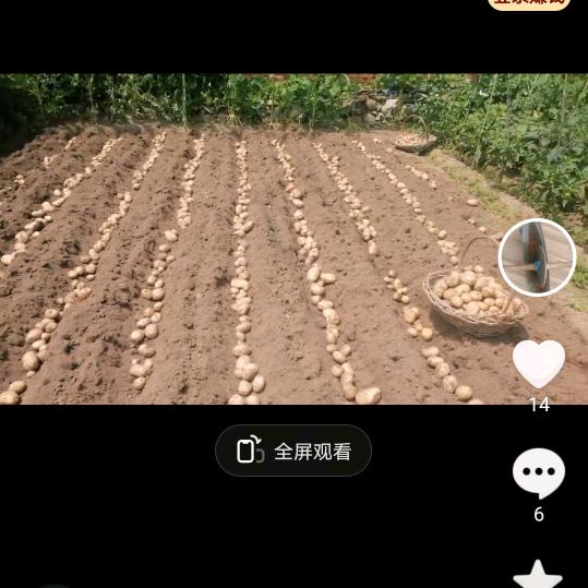 田园