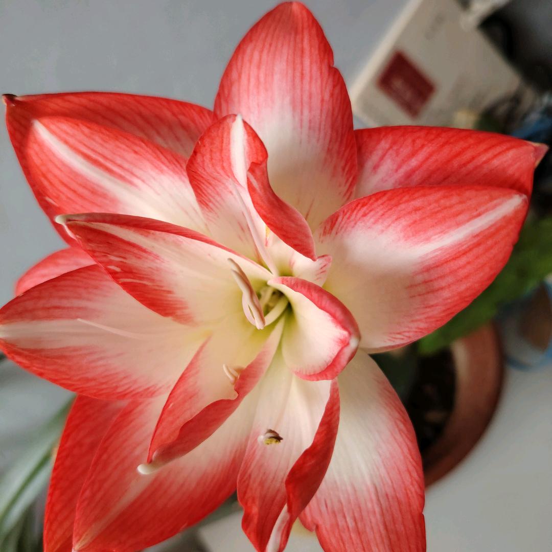 阳光小镇淘气堡