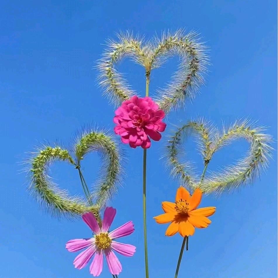 🉑🉑做好自我