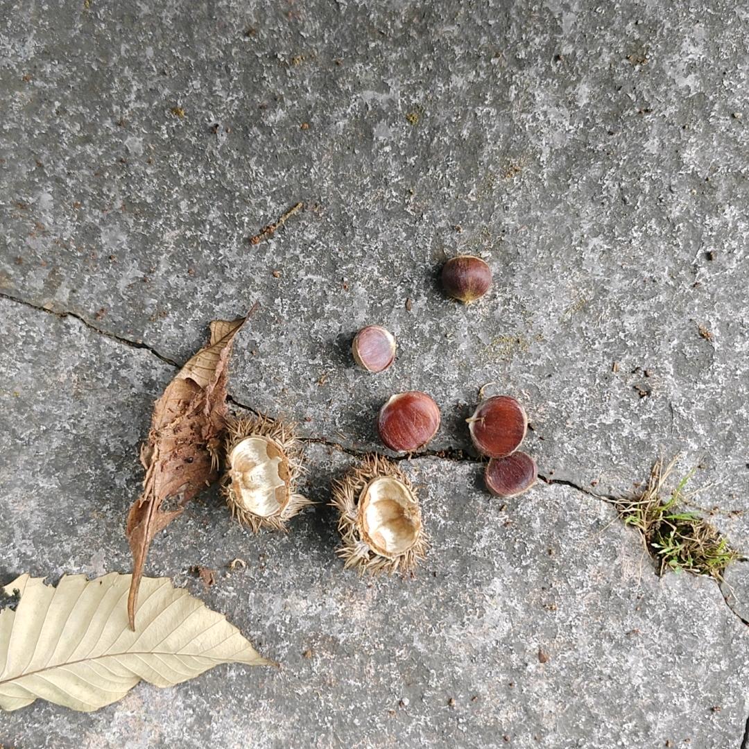 等待不是你的等待