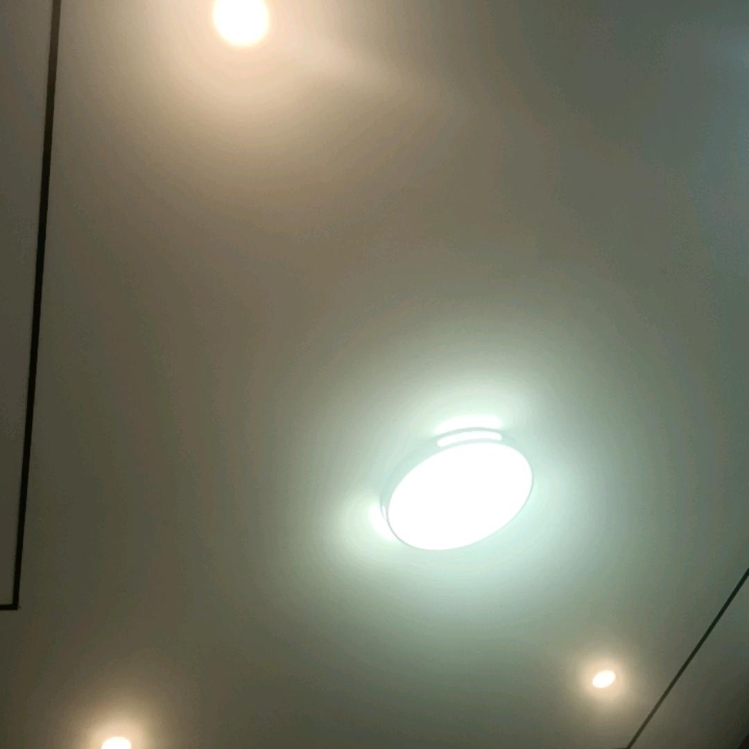 辉煌成就