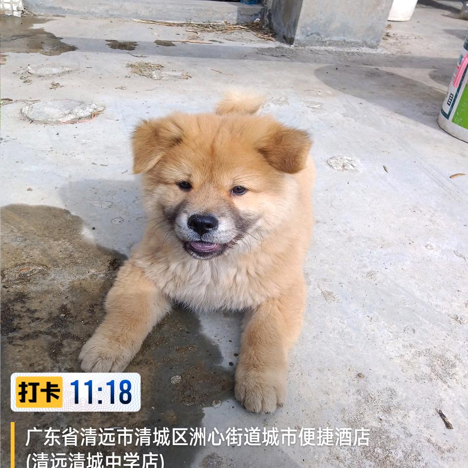 用户3232300199691