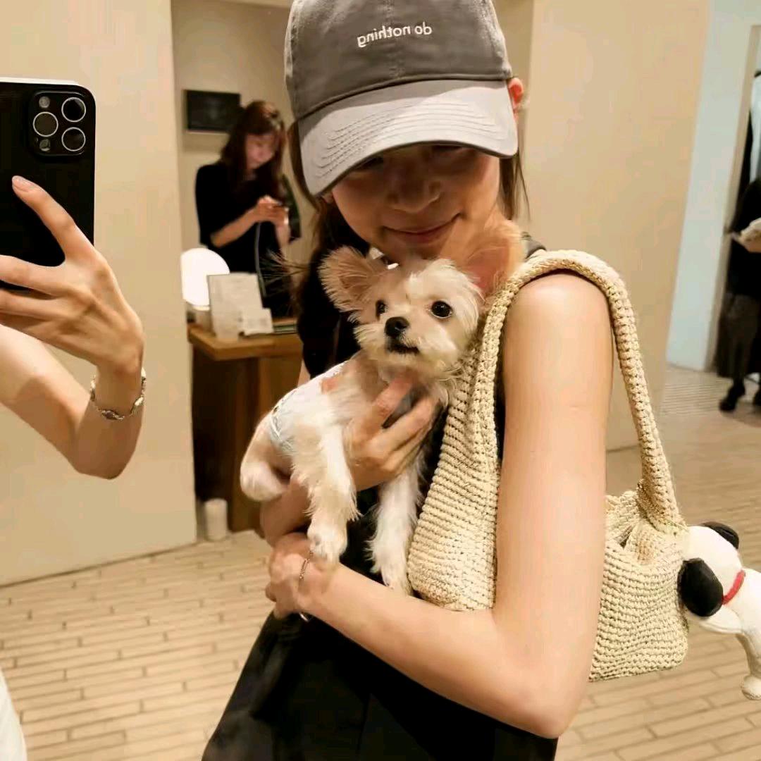猫鳶椿季