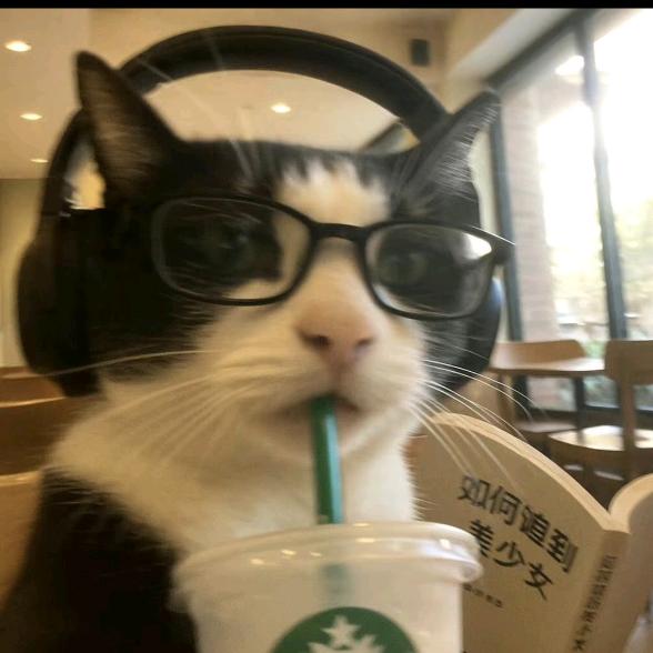 性感烧水壶👍👍👍